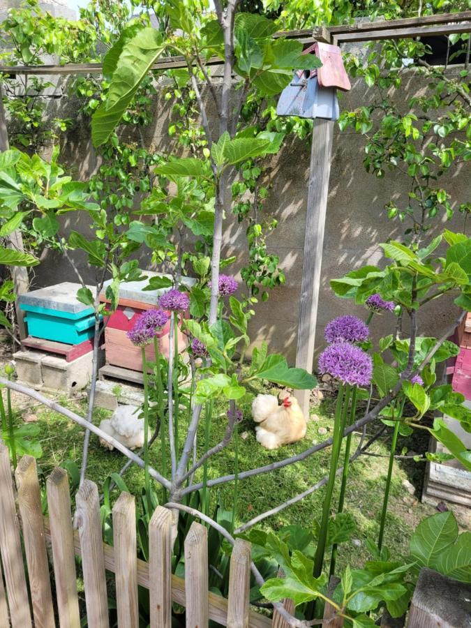 Angers Green Lodge Eksteriør bilde